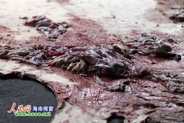 海口工厂无环评加工重金属牛皮，先斩后奏的灰色生产线